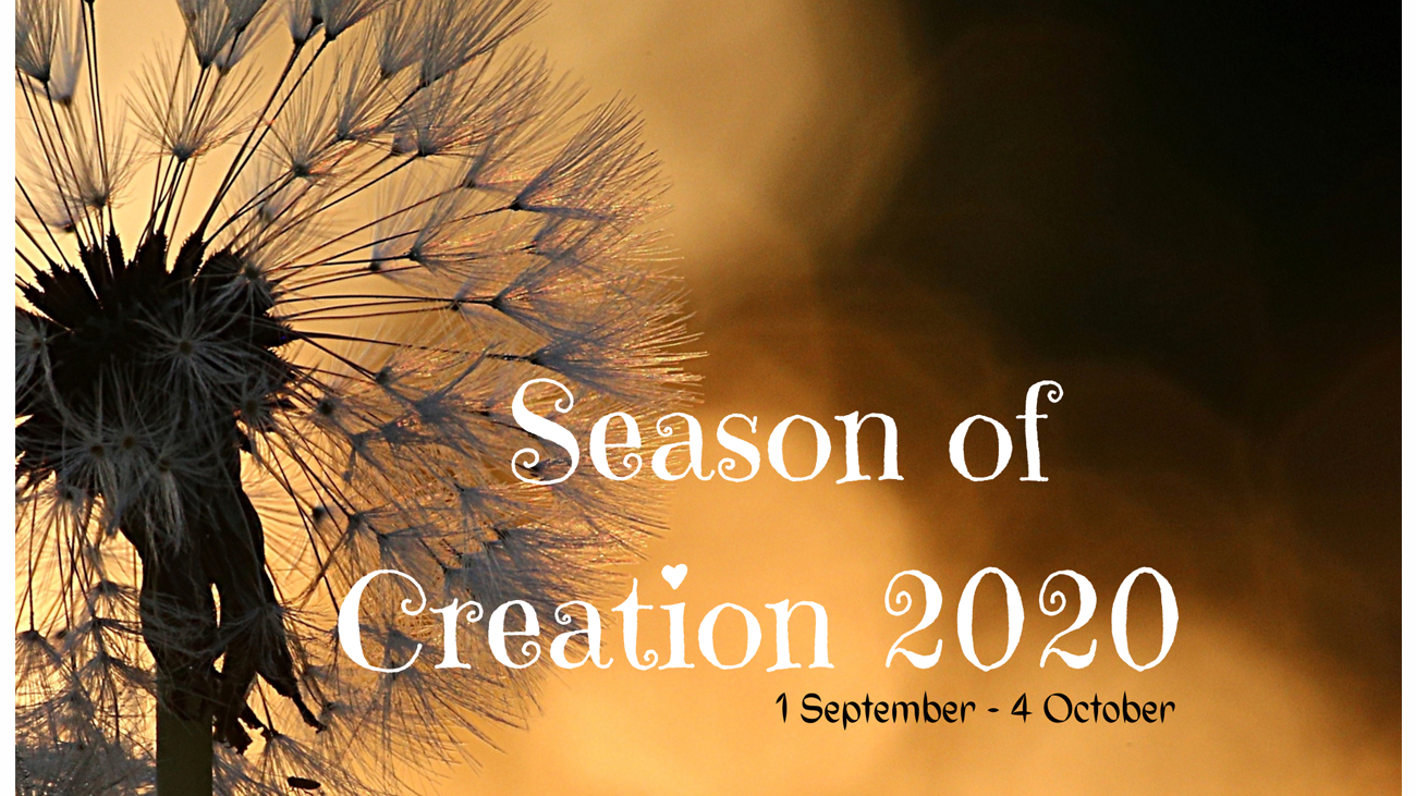 Season of creation image
