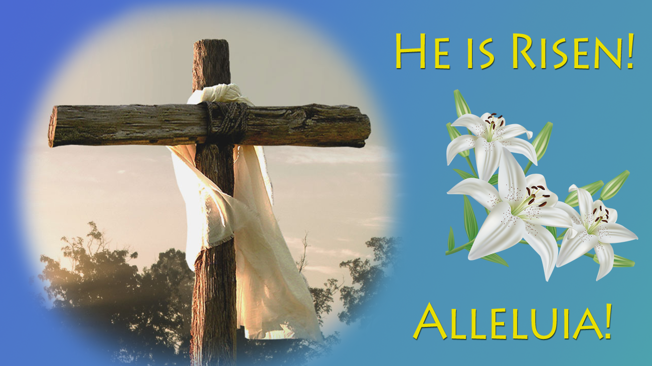empty cross with white cloth; easter lilies