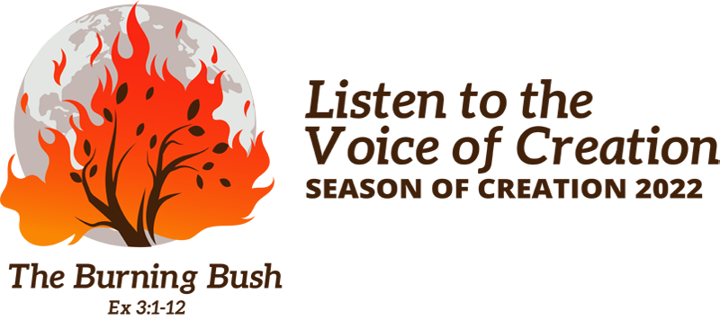 burning bush image